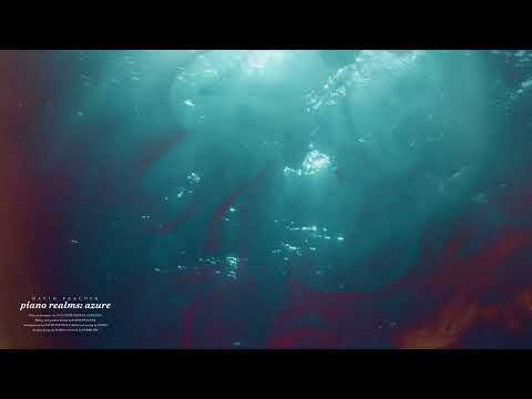 [visualizer] 08 Balaenoptera musculus (from "ABZU")