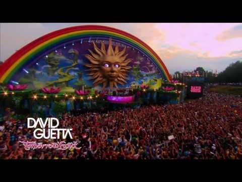 David Guetta - Tomorrowland 2010