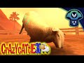 Vinny Crazy Cattle 3D