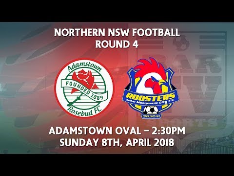 2018 NNSWF NPL Round 4 - Adamstown Rosebud v Lake Macquarie City FC
