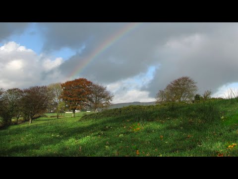 The Chieftains & Rita MacNeil - Come By The Hills