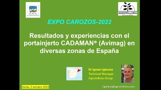 Cadaman®, excelente porta-injerto de carozos tolerante a replante.