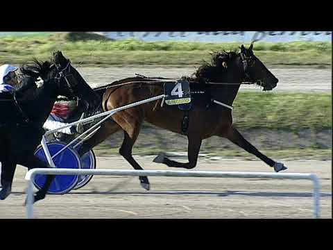 Napoli Trotto 14/04/2023 - 8ª corsa