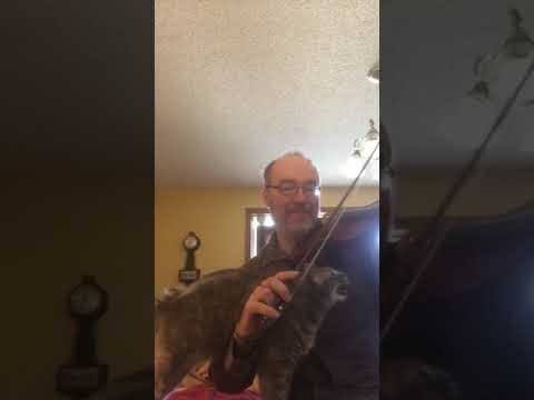 Bootsy the Cat says stop the music!