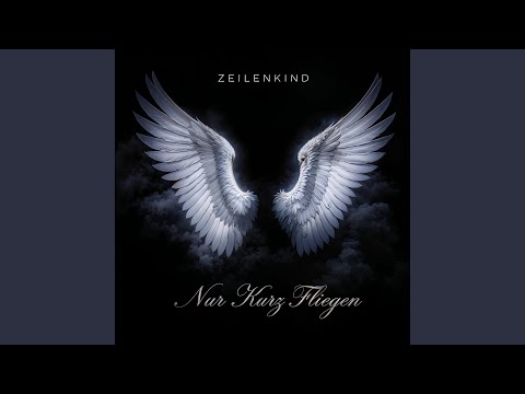 Nur Kurz Fliegen (feat. ZeilenKind) | Dreist&Frech Lyrics, Meaning & Videos