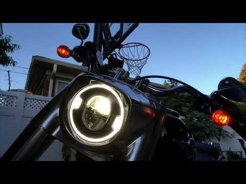 Wolo model 719 Mad Max Horn on a 2018 Fatboy 114 m8 Harley-Davidson