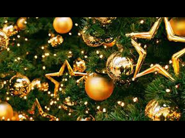 Подарки, украшения и ёлки в одном месте