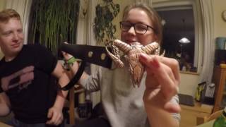 FIDDLER'S GREEN: Unboxing DEVIL'S DOZEN (Ltd. Fan Box)