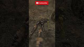 Download lagu The Overconfident Orc - Morrowind Gameplay Highlights #morrowind #elderscrolls mp3 Download lagu The Overconfident Orc - Morrowind Gameplay Highlights #morrowind #elderscrolls mp3