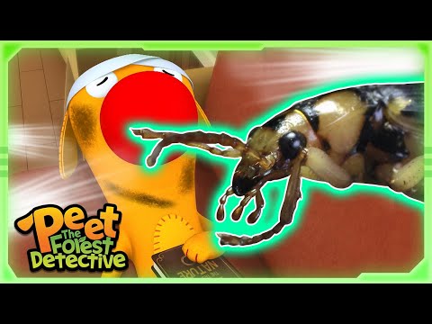 Dead Insects! Missing Body! 🐜🐸  | Full Episode | Cartoons for Kids | Peet The Forest Detective