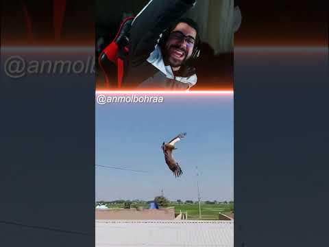 السعدان ركب عظهر الصقر 😂