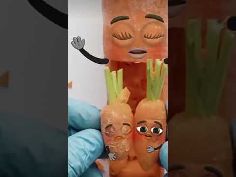 Carrot c-section -seamese twins almost died #fruitsurgery #cartoon #animation