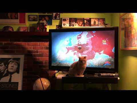 CAT HISTORY - Hitler vs Stalin