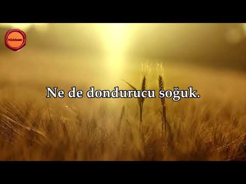 İnsan Suresi - Nasser al Qatami