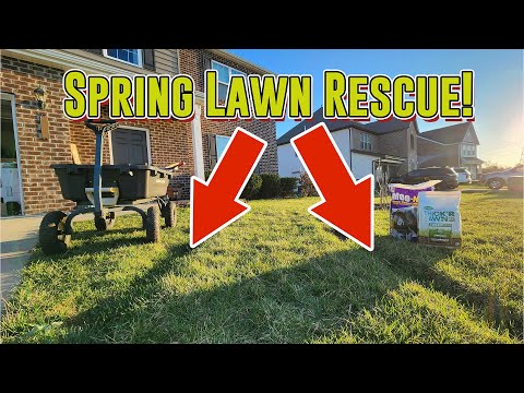 Revive Your Lawn with Spring Overseeding: Tips, Tricks & Weed Control!