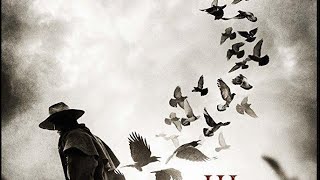 A murder of crows could it be a death ☠️ omen