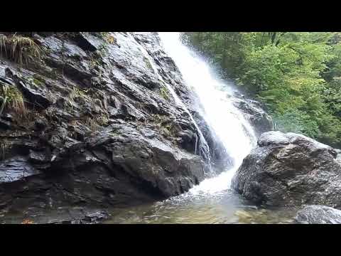 Cascada Lotrișor – Minunea Ascunsă a Parcului Național Cozia!