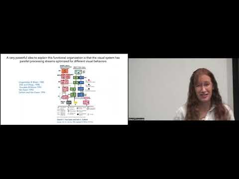 Waterloo Brain Day Lectures 2024: Kalanit Grill-Spector (Stanford)