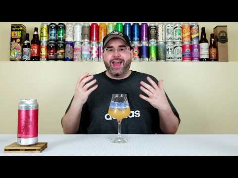 DDH All Citra Everything | Other Half Brewing Co. | Beer Review | #458