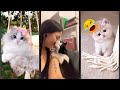 Funniest Cat ‍ Cat Videos Compilation ‍ FunnyCats Episode 4016