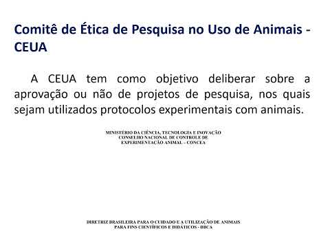 Comite de Etica no Uso de animais -CEUA