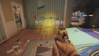 雑談混じりの下手くそシージ