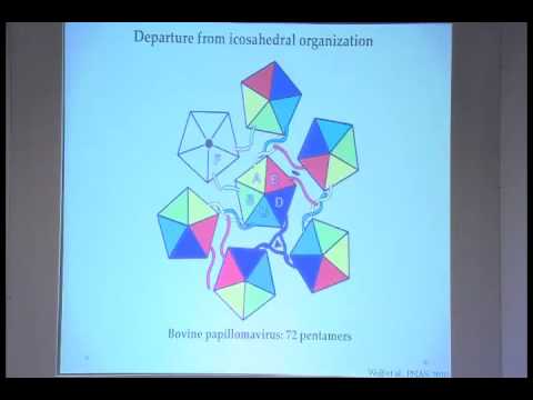 L12: Single Particle Cryo-electron Microscopy and 3D reconstruction of Viruses