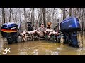 Arkansas Duck Hunting | Public Land Flooded Timber