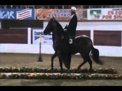 Boricua ( Relicario FC x Zarzuela ( Privilegio)), GCR trocha pura Sincelejo 2010 - Rey de la sabana