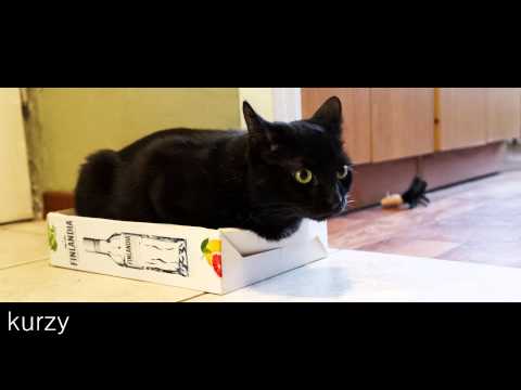 Kurzy _trzeba obadać