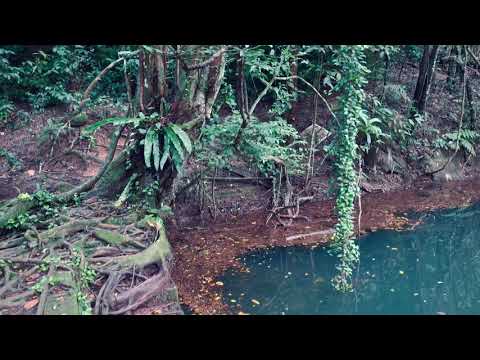 How to find the hidden Keppel Hill Reservoir