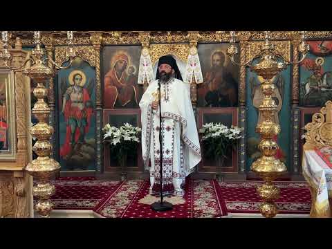 Părintele Protos. Ghelasie Iorga, “Sănătatea sufletească dă sănătate psihică și trupească”