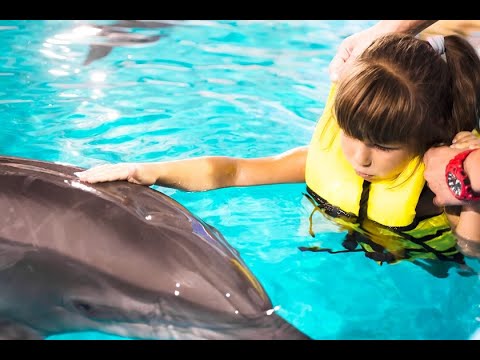 Dolphin Assisted Therapy, Autism & Pseudoscience - YouTube