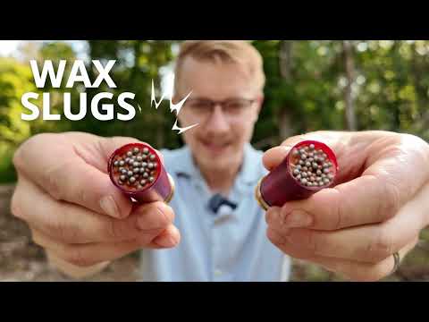Wax Slugs: How deadly are they REALLY?