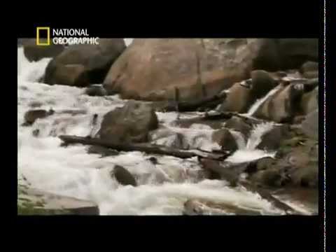 Aux frontières de la science - la naissance des oceans