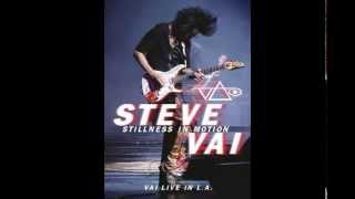 Steve Vai - Gravity Storm (Stillness in Motion - 2015)