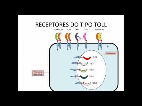 Receptores do tipo Toll – Marcos Henrique Gurgel