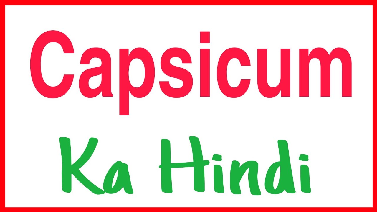 Capsicum Meaning | Capsicum Ka Matlab | Capsicum Ka Hindi