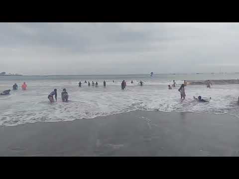 🏖️ Descubre Playa Mar Bravo: Naturaleza Salvaje y Belleza Costera