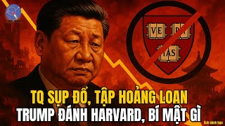 TQ Sụp Kinh Tế, Vỡ Nợ Địa Phương, Tập Hoảng Loạn! Trump Thanh Trừng Harvard, Lễ Chùa Che Giấu Gì?
