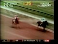 Affirmed - 1978 Jim Dandy Stakes