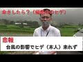 日本の原風景を守る農家さん達を取材してみた。　宮崎のヒデちゃん