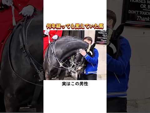何年経っても覚えていた馬