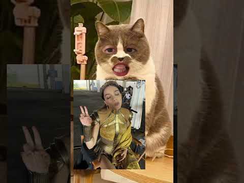 ❤️ Kitty discusses Snow white #comedy #entertainment #viral