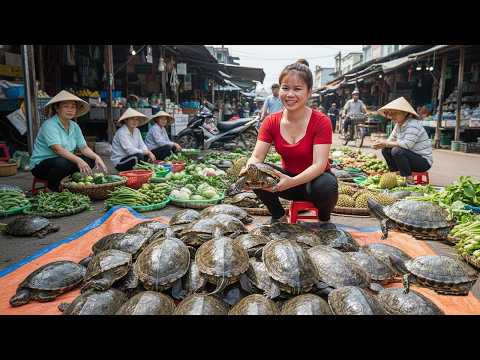 TIMELAPSE Massive Turtle Harvest in Water Hyacin