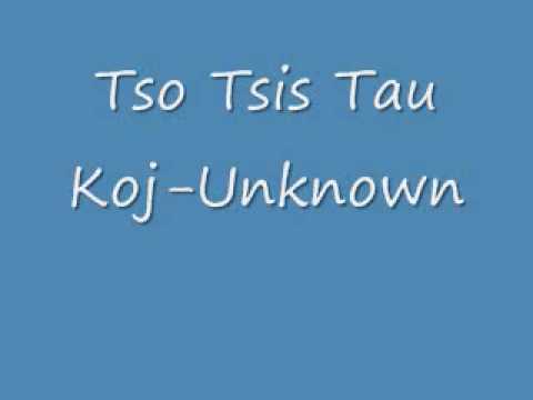 Tso tsis tau koj