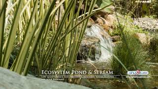preview picture of video 'Ecosystem Pond and Waterfall designed by Splash Supply Co in York PA'