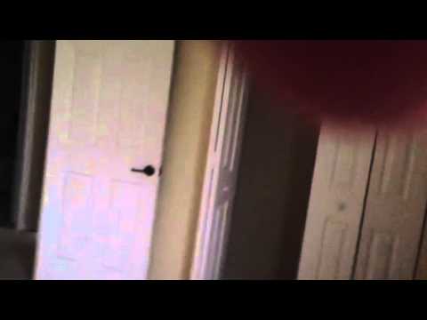 Board Walk Vizcaya 2