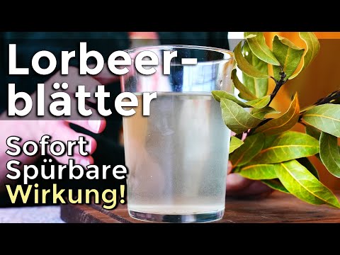 The Healing Power of Bay Leaves: A Drink for Your Health!