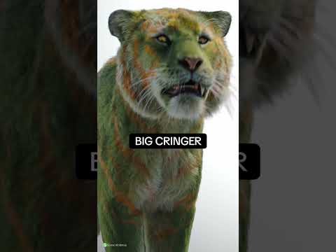 Cringer